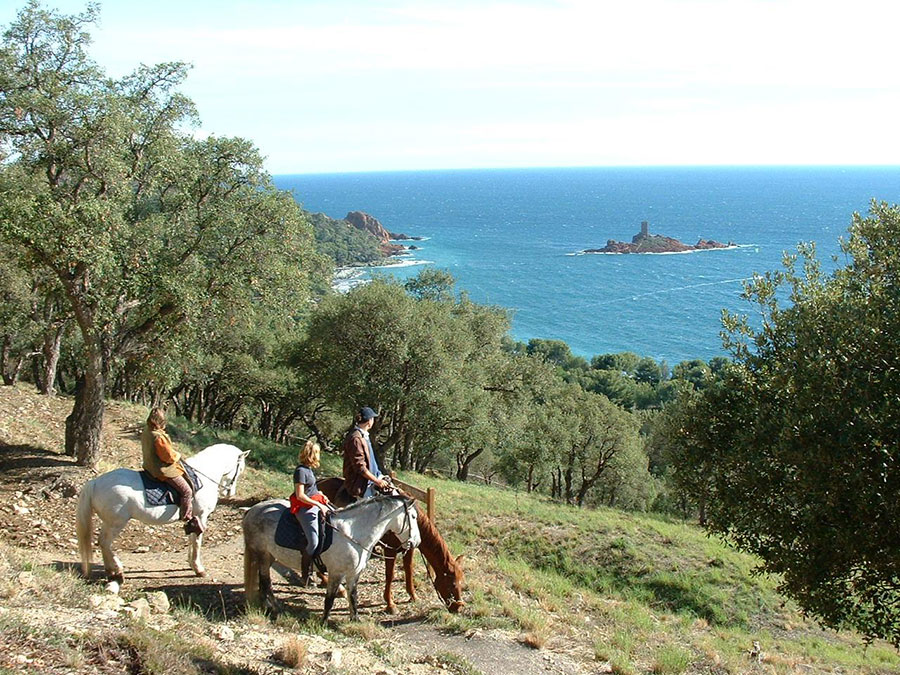 Hôtel Le Virevent Saint Rapahaël - Poney Club